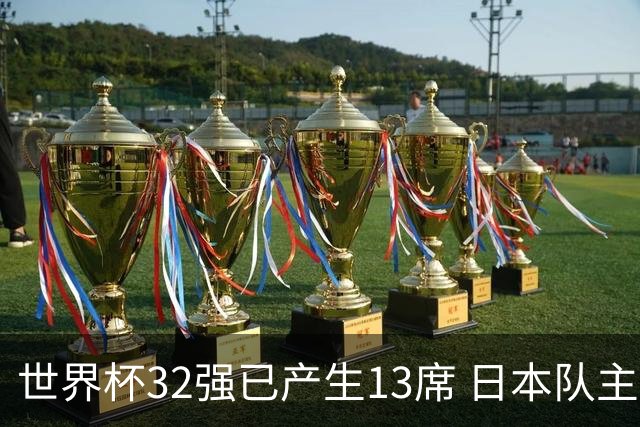 世界杯32强已产生13席 日本队主帅称目标小组第一