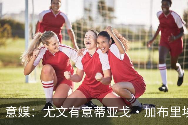 意媒：尤文有意蒂亚戈·加布里埃尔，但莱切估价3500万到4000万欧